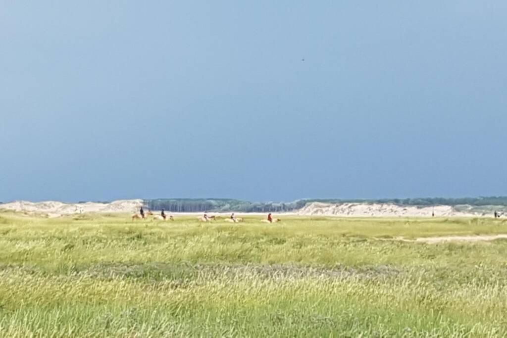 La Cabane Des Dunes A Fort-Mahon Plage Bagian luar foto