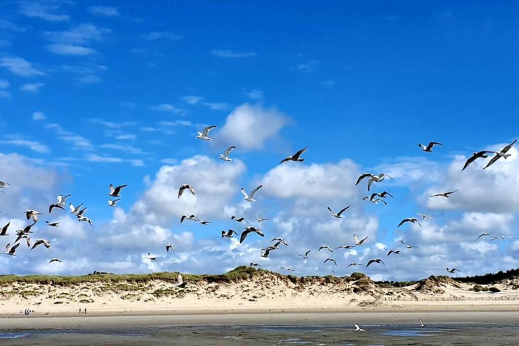 La Cabane Des Dunes A Fort-Mahon Plage Bagian luar foto